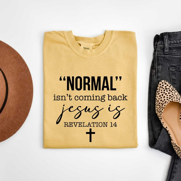 Normal Isn't Coming Back Jesus Is Garment Dyed Tee (4 Colors)