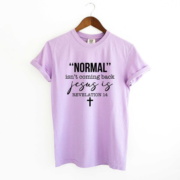 Normal Isn't Coming Back Jesus Is Garment Dyed Tee (4 Colors)