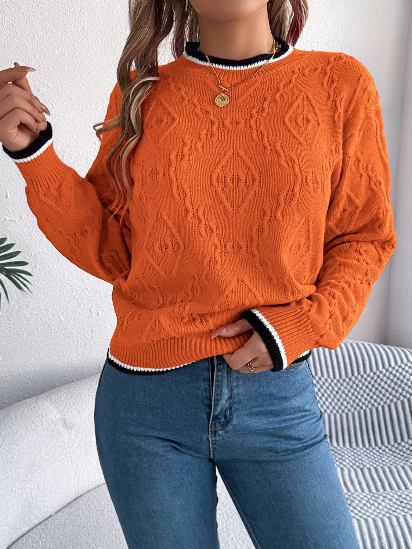 Contrast Trim Round Neck Sweater (3 Colors)