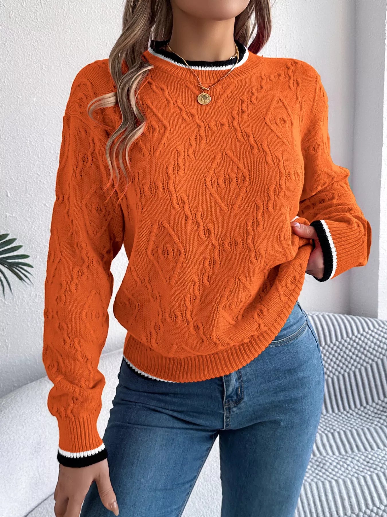 Contrast Trim Round Neck Sweater (3 Colors)