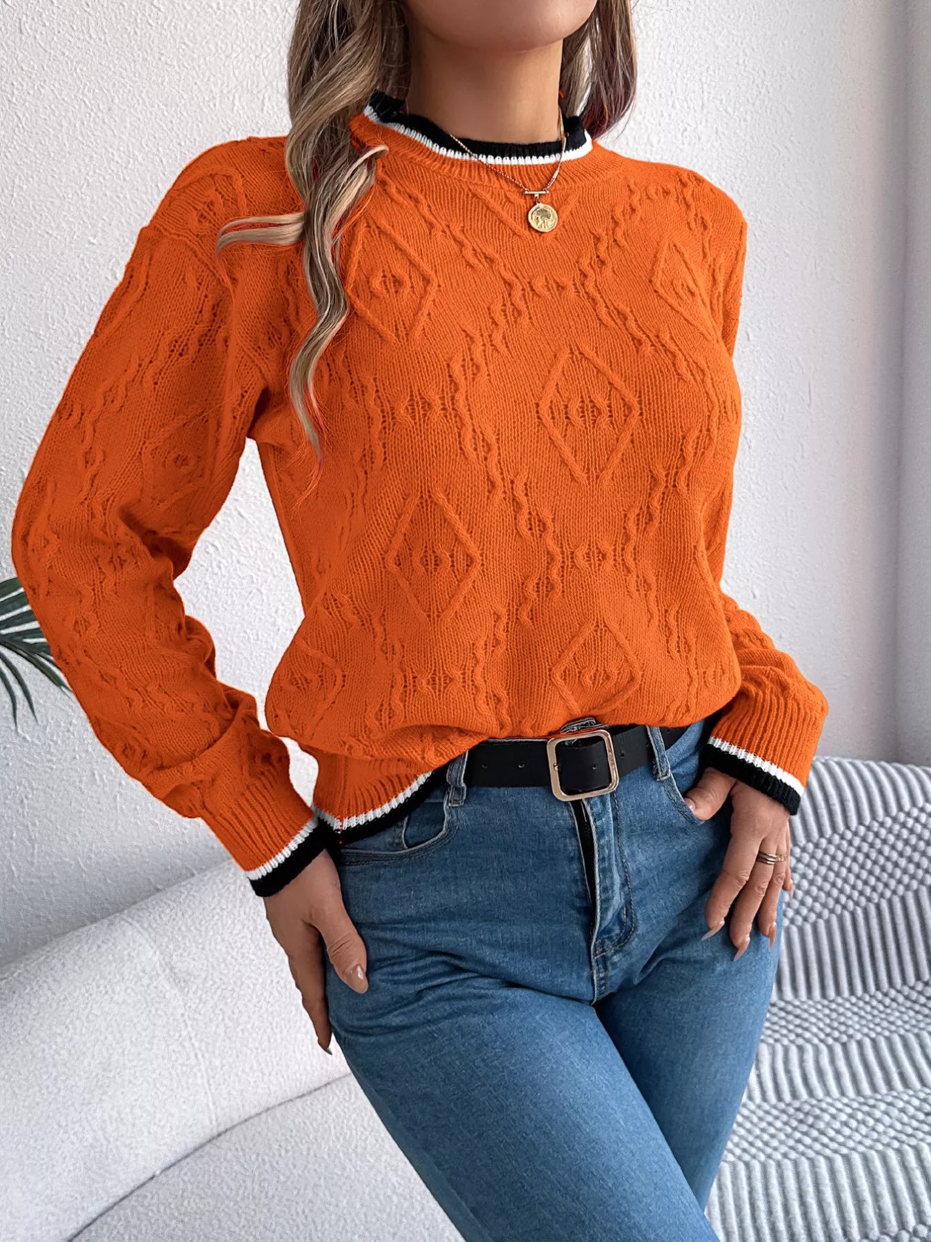 Contrast Trim Round Neck Sweater (3 Colors)