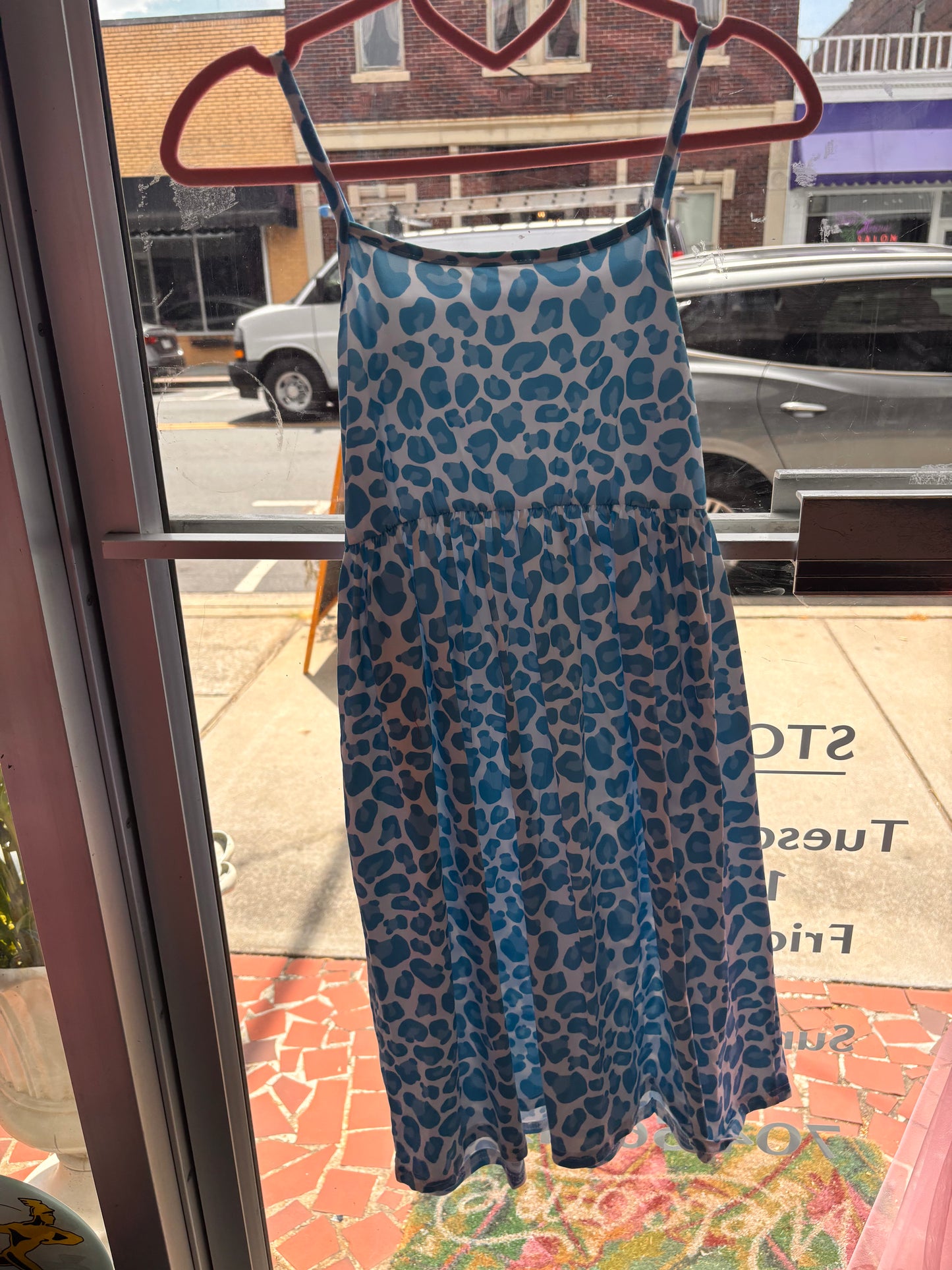 Blue Leopard Breeze Dress