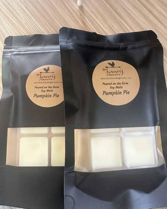 Pumpkin Pie Soy Melts