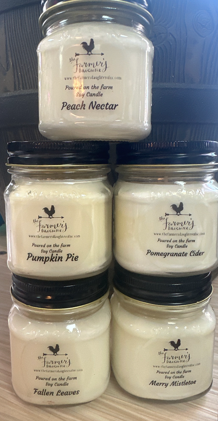 Fall & Holiday Soy Candle Collection