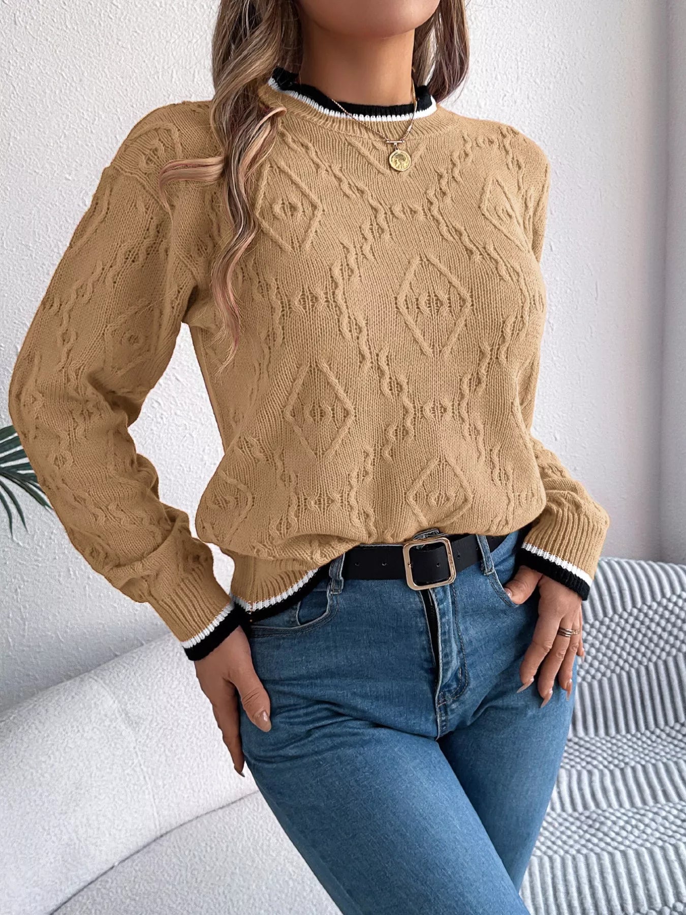 Contrast Trim Round Neck Sweater (3 Colors)